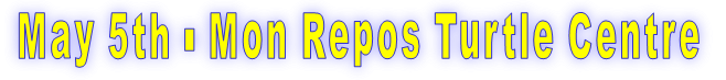 May 5th - Mon Repos Turtle Centre 