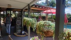 Vinter's Secret Winery